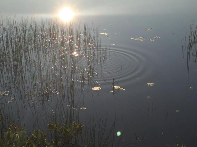 Out and about with Blanche is a photographer's dream.